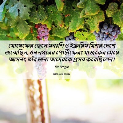 Picture 06 - আদি 46:20 BENIRV - যোষেফের ছেলে - Bible Verse Picture