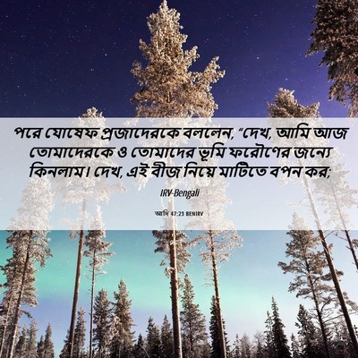 Picture 06 - আদি 47:23 BENIRV - পরে যোষেফ - Bible Verse Picture