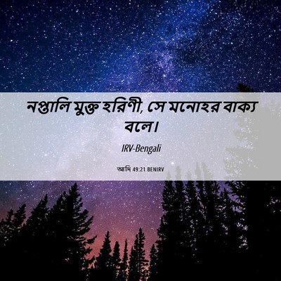 Picture 06 - আদি 49:21 BENIRV - নপ্তালি মুক্ত - Bible Verse Picture