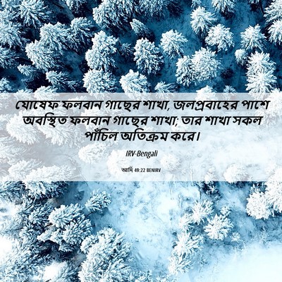 Picture 06 - আদি 49:22 BENIRV - যোষেফ ফলবান গাছের - Bible Verse Picture