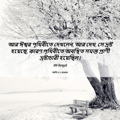 Picture 06 - আদি 6:12 BENIRV - আর ঈশ্বর পৃথিবীতে - Bible Verse Picture