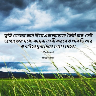 Picture 06 - আদি 6:14 BENIRV - তুমি গোফর কাঠ - Bible Verse Picture