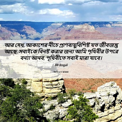 Picture 06 - আদি 6:17 BENIRV - আর দেখ, আকাশের নীচে - Bible Verse Picture
