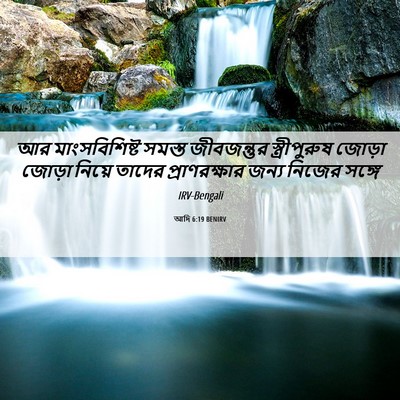 Picture 06 - আদি 6:19 BENIRV - আর মাংসবিশিষ্ট - Bible Verse Picture
