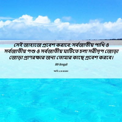 Picture 06 - আদি 6:20 BENIRV - সেই জাহাজে প্রবেশ - Bible Verse Picture