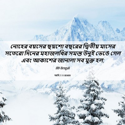 Picture 06 - আদি 7:11 BENIRV - নোহের বয়সের - Bible Verse Picture