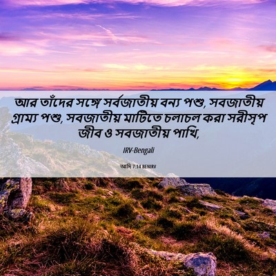 Picture 06 - আদি 7:14 BENIRV - আর তাঁদের সঙ্গে - Bible Verse Picture