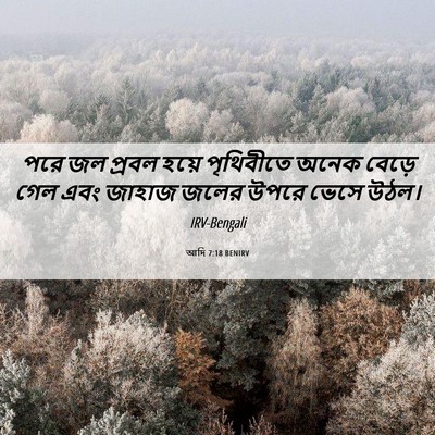 Picture 06 - আদি 7:18 BENIRV - পরে জল প্রবল হয়ে - Bible Verse Picture