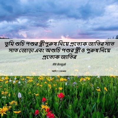 Picture 06 - আদি 7:2 BENIRV - তুমি শুচি পশুর - Bible Verse Picture