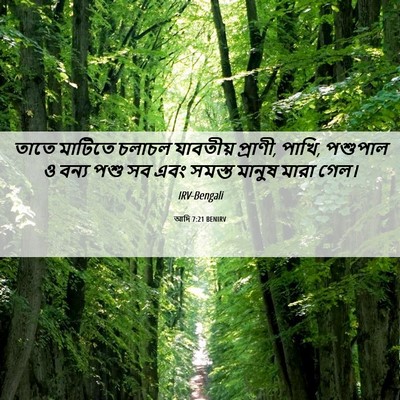 Picture 06 - আদি 7:21 BENIRV - তাতে মাটিতে চলাচল - Bible Verse Picture