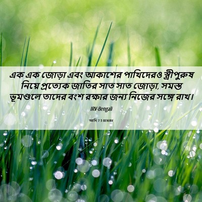 Picture 06 - আদি 7:3 BENIRV - এক এক জোড়া এবং - Bible Verse Picture