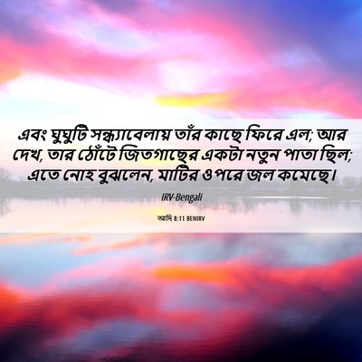 Picture 06 - আদি 8:11 BENIRV - এবং ঘুঘুটি - Bible Verse Picture