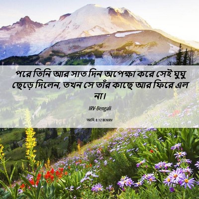 Picture 06 - আদি 8:12 BENIRV - পরে তিনি আর সাত দিন - Bible Verse Picture
