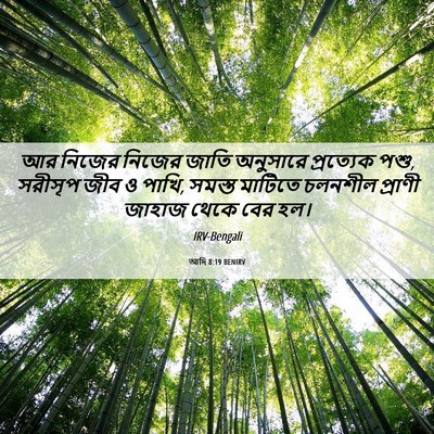 Picture 06 - আদি 8:19 BENIRV - আর নিজের নিজের - Bible Verse Picture