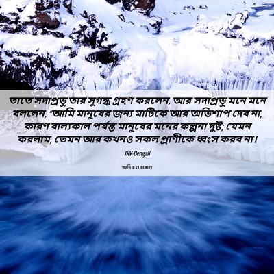 Picture 06 - আদি 8:21 BENIRV - তাতে সদাপ্রভু তার - Bible Verse Picture