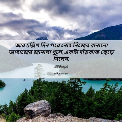 Picture 06 - আদি 8:6 BENIRV - আর চল্লিশ দিন পরে - Bible Verse Picture