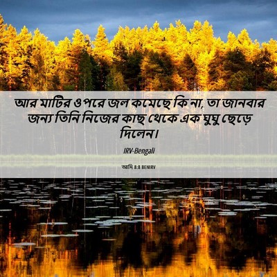 Picture 06 - আদি 8:8 BENIRV - আর মাটির ওপরে জল - Bible Verse Picture