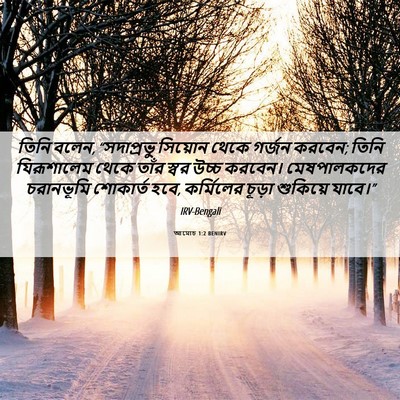 Picture 06 - আমোচ 1:2 BENIRV - তিনি বলেন, - Bible Verse Picture
