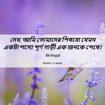 Picture 06 - আমোচ 2:13 BENIRV - দেখ, আমি তোমাদের - Bible Verse Picture