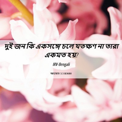 Picture 06 - আমোচ 3:3 BENIRV - দুই জন কি একসঙ্গে - Bible Verse Picture