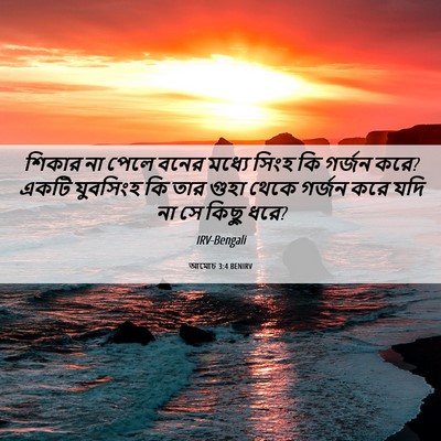 Picture 06 - আমোচ 3:4 BENIRV - শিকার না পেলে বনের - Bible Verse Picture