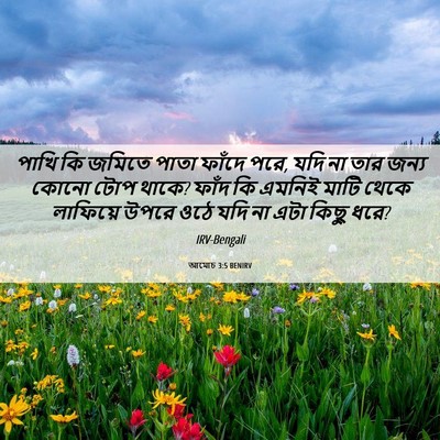 Picture 06 - আমোচ 3:5 BENIRV - পাখি কি জমিতে পাতা - Bible Verse Picture