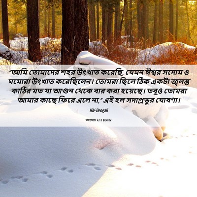Picture 06 - আমোচ 4:11 BENIRV - “আমি তোমাদের শহর - Bible Verse Picture