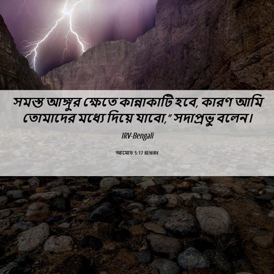 Picture 06 - আমোচ 5:17 BENIRV - সমস্ত আঙ্গুর - Bible Verse Picture