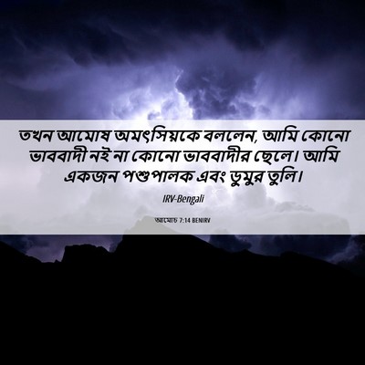 Picture 06 - আমোচ 7:14 BENIRV - তখন আমোষ - Bible Verse Picture
