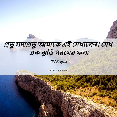 Picture 06 - আমোচ 8:1 BENIRV - প্রভু সদাপ্রভু - Bible Verse Picture