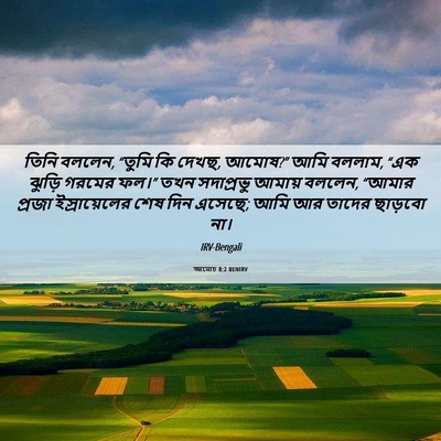 Picture 06 - আমোচ 8:2 BENIRV - তিনি বললেন, “তুমি - Bible Verse Picture