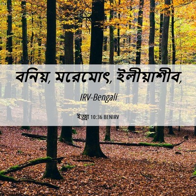 Picture 06 - ইজ্ৰা 10:36 BENIRV - বনিয়, মরেমোৎ, - Bible Verse Picture