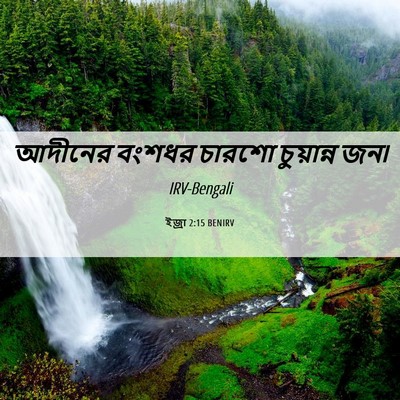 Picture 06 - ইজ্ৰা 2:15 BENIRV - আদীনের বংশধর - Bible Verse Picture