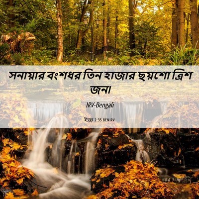 Picture 06 - ইজ্ৰা 2:35 BENIRV - সনায়ার বংশধর তিন - Bible Verse Picture