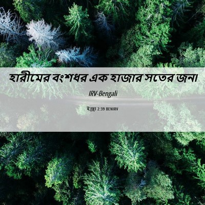 Picture 06 - ইজ্ৰা 2:39 BENIRV - হারীমের বংশধর এক - Bible Verse Picture