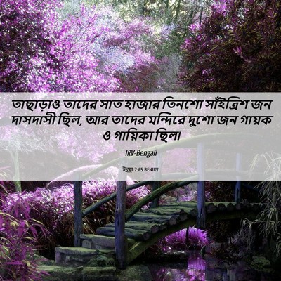 Picture 06 - ইজ্ৰা 2:65 BENIRV - তাছাড়াও তাদের - Bible Verse Picture
