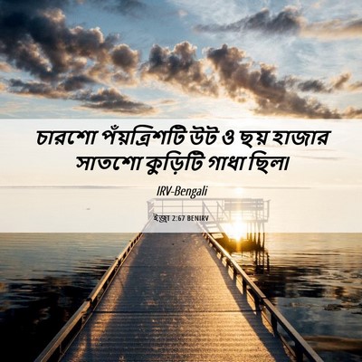 Picture 06 - ইজ্ৰা 2:67 BENIRV - চারশো পঁয়ত্রিশটি - Bible Verse Picture