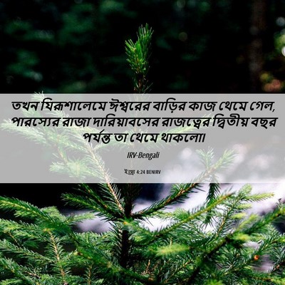 Picture 06 - ইজ্ৰা 4:24 BENIRV - তখন যিরূশালেমে - Bible Verse Picture