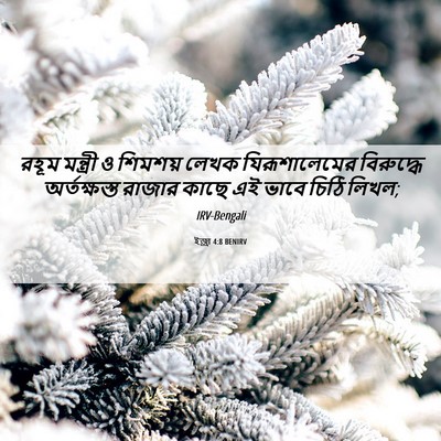 Picture 06 - ইজ্ৰা 4:8 BENIRV - রহূম মন্ত্রী ও - Bible Verse Picture