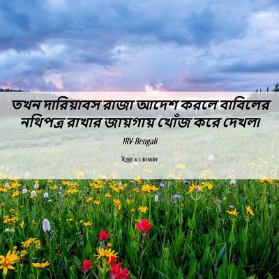 Picture 06 - ইজ্ৰা 6:1 BENIRV - তখন দারিয়াবস - Bible Verse Picture