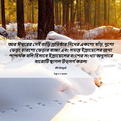 Picture 06 - ইজ্ৰা 6:17 BENIRV - আর ঈশ্বরের সেই - Bible Verse Picture