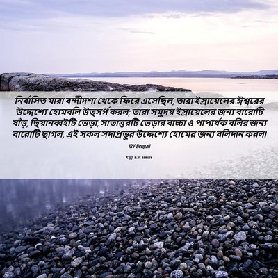 Picture 06 - ইজ্ৰা 8:35 BENIRV - নির্বাসিত যারা - Bible Verse Picture