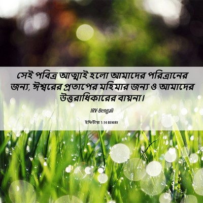 Picture 06 - ইফিচীয়া 1:14 BENIRV - সেই পবিত্র আত্মাই - Bible Verse Picture