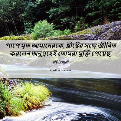 Picture 06 - ইফিচীয়া 2:5 BENIRV - পাপে মৃত আমাদেরকে, - Bible Verse Picture