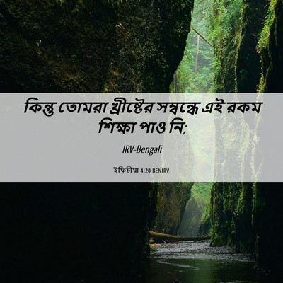 Picture 06 - ইফিচীয়া 4:20 BENIRV - কিন্তু তোমরা - Bible Verse Picture