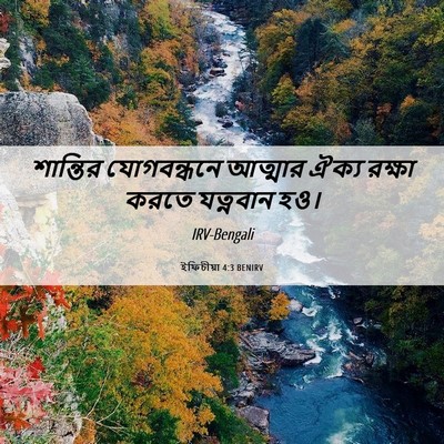Picture 06 - ইফিচীয়া 4:3 BENIRV - শান্তির যোগবন্ধনে - Bible Verse Picture