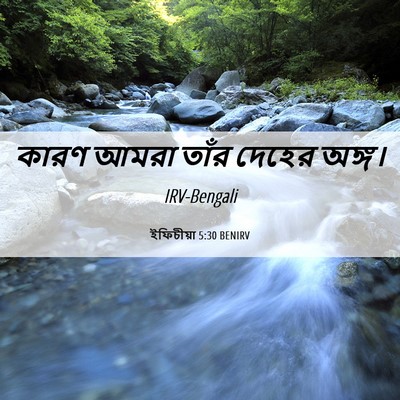 Picture 06 - ইফিচীয়া 5:30 BENIRV - কারণ আমরা তাঁর - Bible Verse Picture