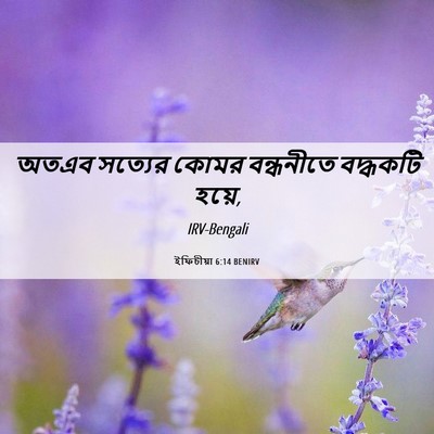 Picture 06 - ইফিচীয়া 6:14 BENIRV - অতএব সত্যের কোমর - Bible Verse Picture