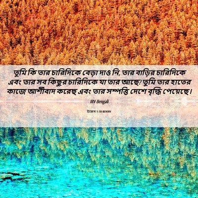 Picture 06 - ইয়োব 1:10 BENIRV - তুমি কি তার - Bible Verse Picture