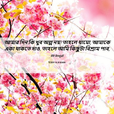 Picture 06 - ইয়োব 10:20 BENIRV - আমার দিন কি খুব - Bible Verse Picture